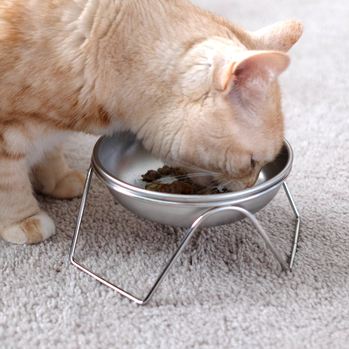 Raised Cat Bowl & Stand - Made in USA, Stainless Steel