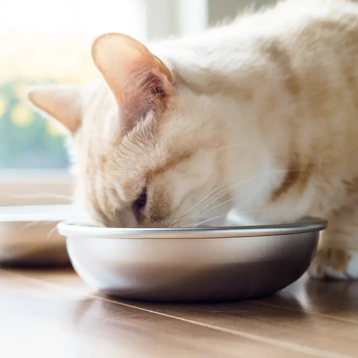Made in USA, Stainless Steel, Whisker-Friendly Cat Bowls