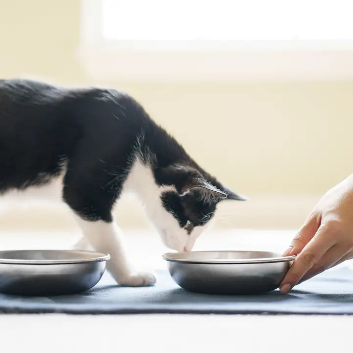 Made in USA, Stainless Steel, Whisker-Friendly Cat Bowls