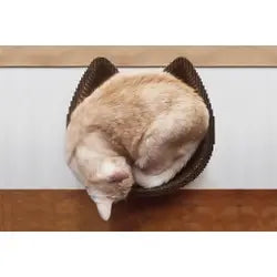 Americat Co. - Cat Shaped Scratcher