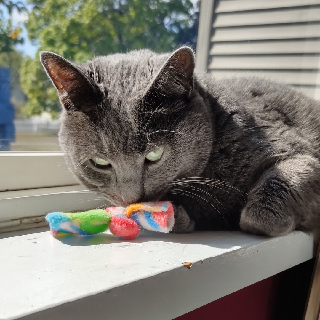 Calia's Catnip BonBons