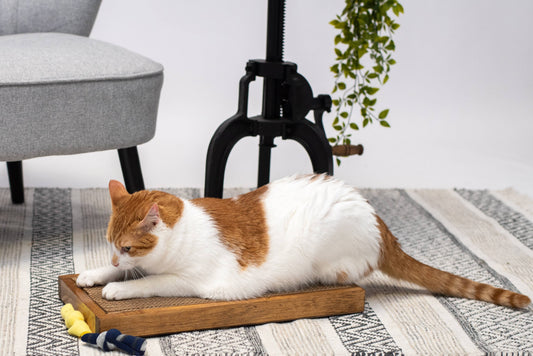 Wide Handmade Wooden Cat Scratcher