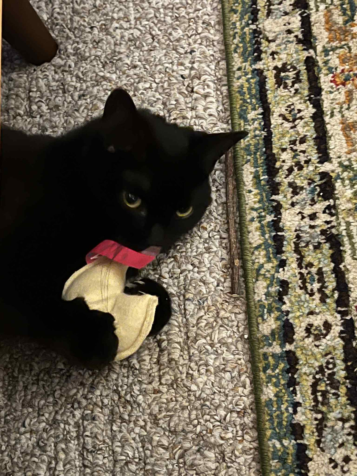 Fortune Cookie Toy