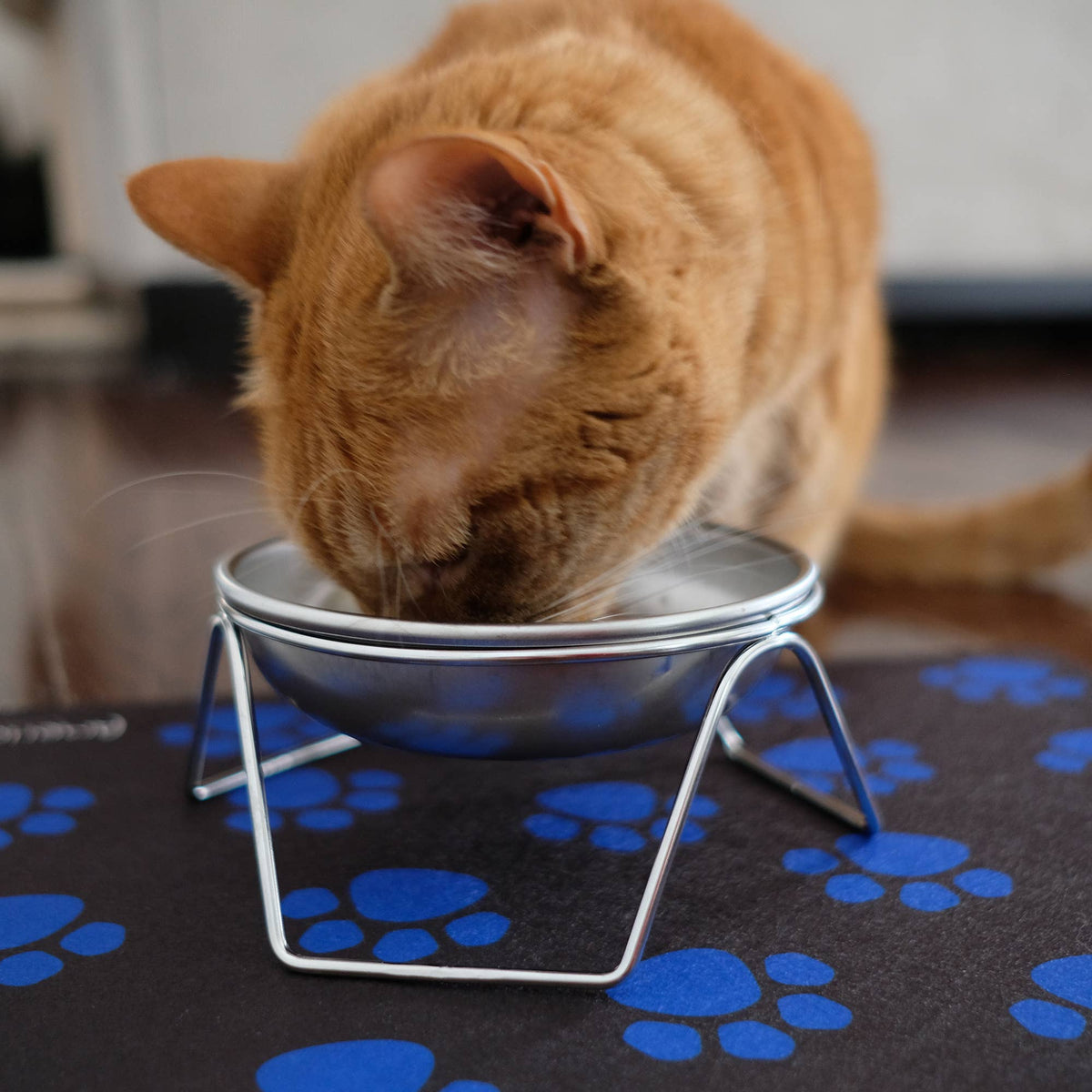 Raised Cat Bowl & Stand - Made in USA, Stainless Steel