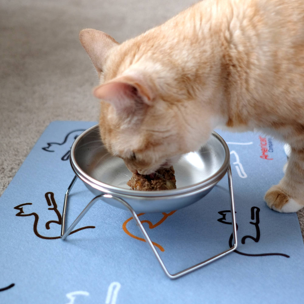 Raised Cat Bowl & Stand - Made in USA, Stainless Steel
